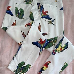 Toxik 3 womens parrot print pants usa size 10
